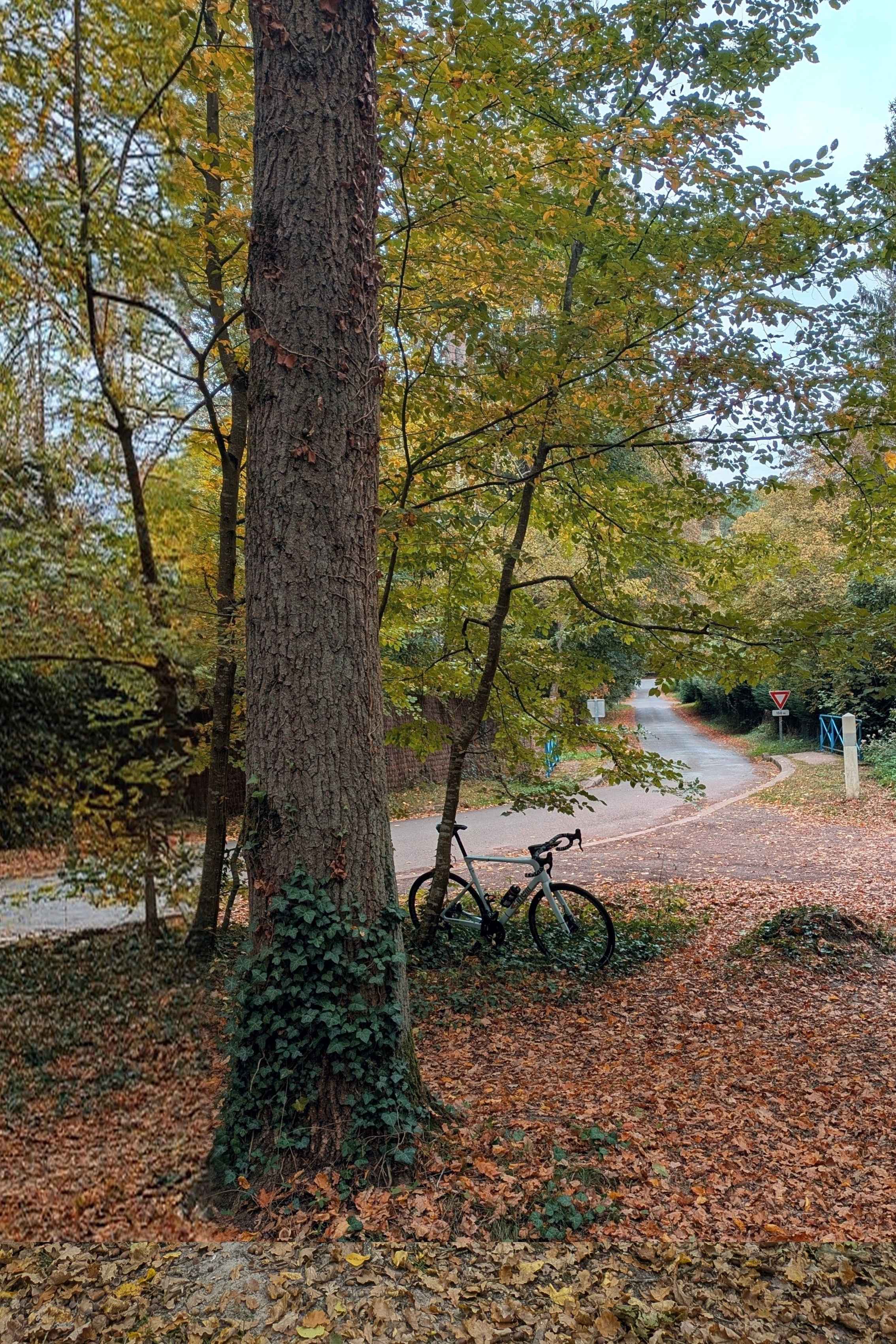 Photo Campagne Codep